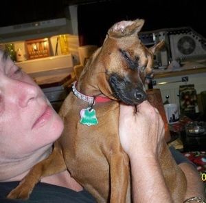 Meet your Posher, Laura